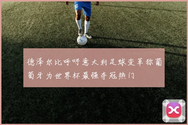 德泽尔比呼吁意大利足球变革称葡萄牙为世界杯最强夺冠热门